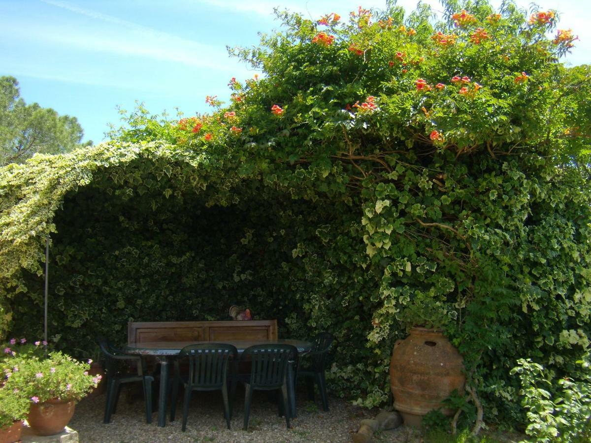 B&B Il Poggetto Montespertoli Exterior foto